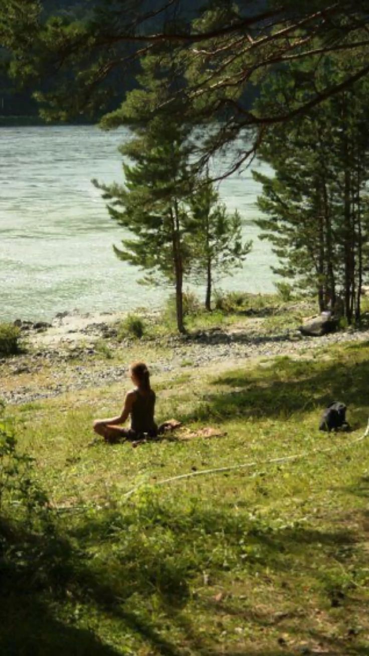 Thiền Quản trị Tâm trí